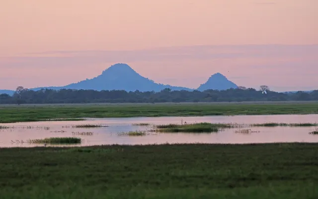 Mount Gorongosa at dusk, seen across the floodplain of Gorongosa National Park