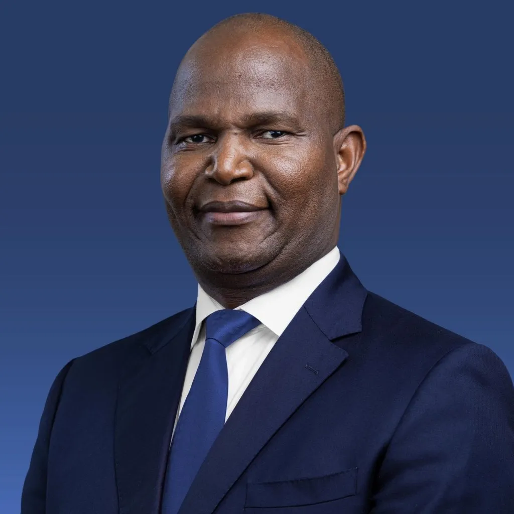 His Excellency Daniel Francisco Chapo, President of the Republic of Mozambique