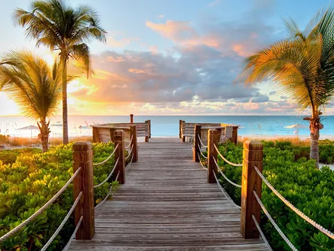 Wooden boardwalk between palm trees leading to a beach at sunset
