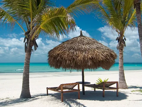 Thatched parasol and two loungers between palm trees on a white sand beach