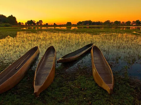 Wooden canoes on the shore of a wetland at sunset
