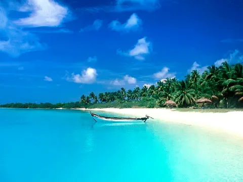 White sand beach with palm trees and a fishing boat in clear water