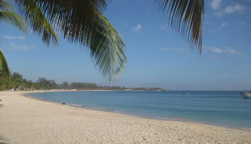 Wimbe Beach in Pemba, under the palm trees